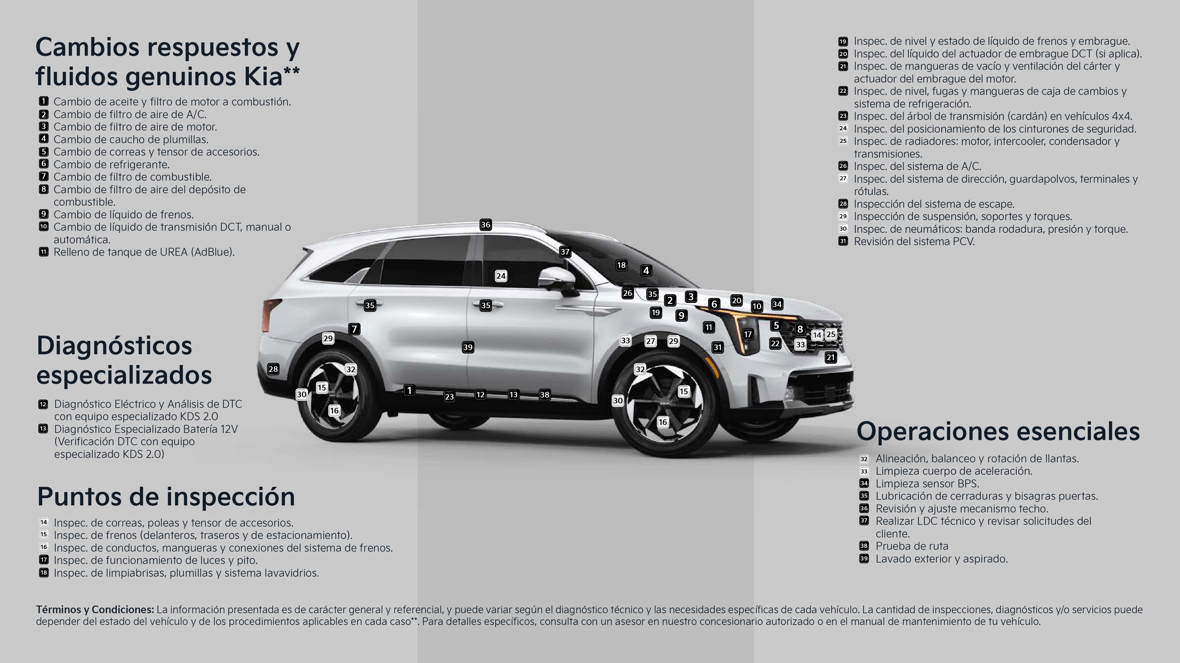 Mantenimiento Vehiculos Diesel_page-0002.jpg